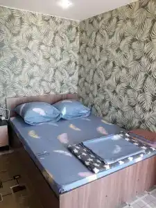 Мини-отель на Звездной 12 - 42
