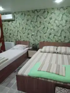 Мини-отель на Звездной 12 - 62