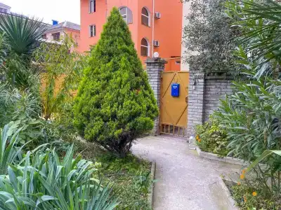 Ника - 1