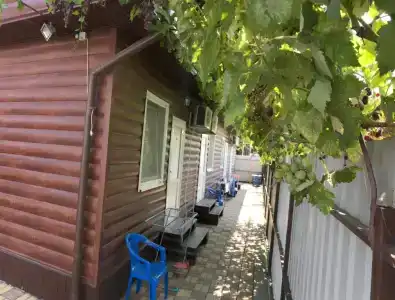 Ковчег - 2