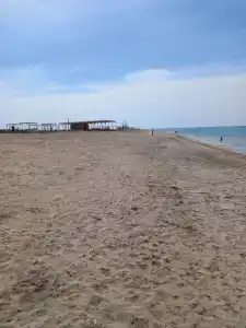 Гранд Мари - 40