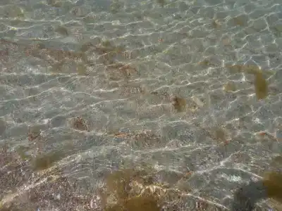 Гранд Мари - 41