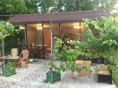 Vineyard cottage - 8