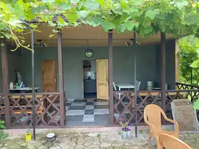Vineyard cottage - 9