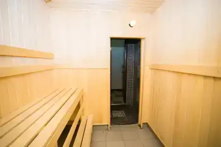 Франт - 6