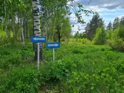 Пространство мечты - 193
