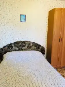 Кипарис - 11