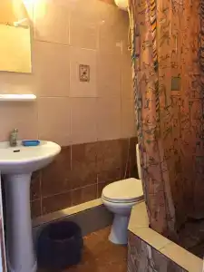 Кипарис - 23