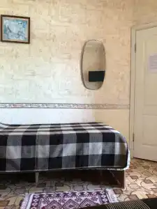 Кипарис - 45