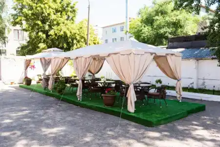 Белая Акация - 2