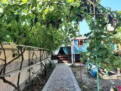 Можжевеловый дворик - 3