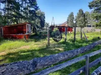 Иван Чай - 1