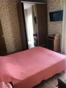 Кипарис - 82