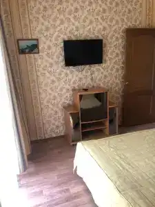 Кипарис - 90