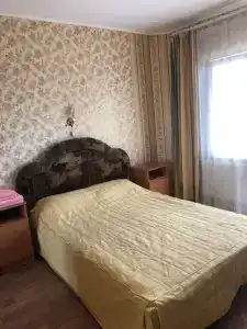 Кипарис - 92