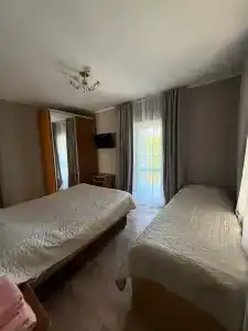Кипарис - 100
