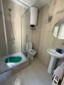 Кипарис - 101