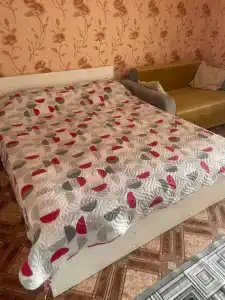Кипарис - 101