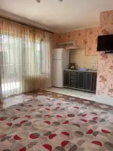 Кипарис - 102