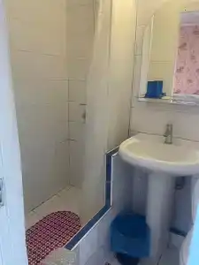 Кипарис - 116