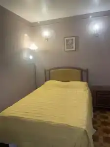 Кипарис - 108