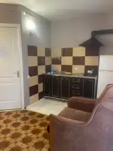 Кипарис - 114