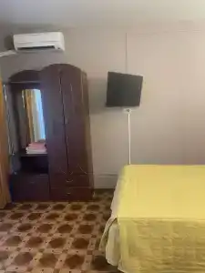 Кипарис - 116