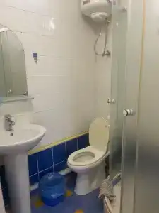 Кипарис - 121