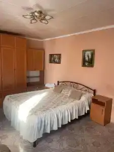 Кипарис - 126