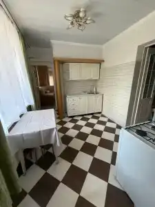 Кипарис - 140