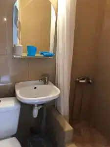 Кипарис - 136