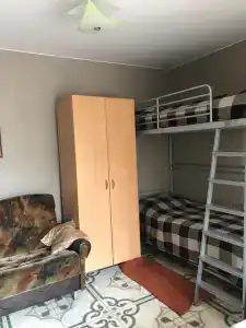 Кипарис - 142
