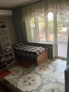 Кипарис - 144