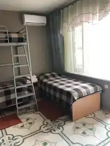 Кипарис - 145