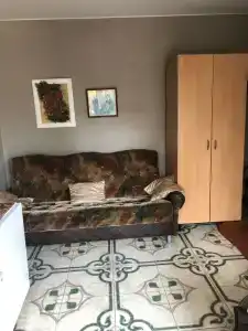 Кипарис - 146