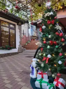 Ежевика - 1