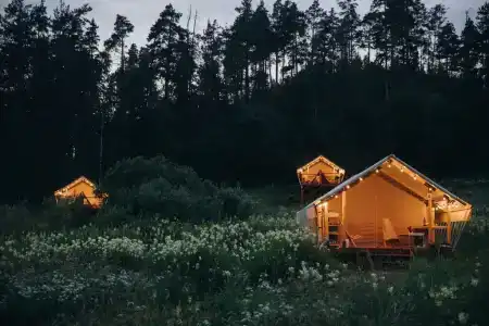 Radostland - 13