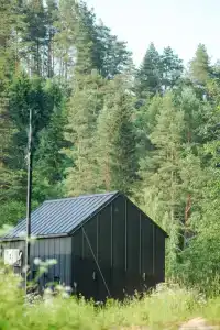 Radostland - 5