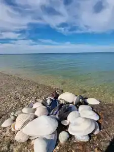 Ажур - 10