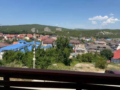 Пальма Финик - 58