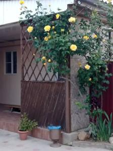 Южный берег - 24