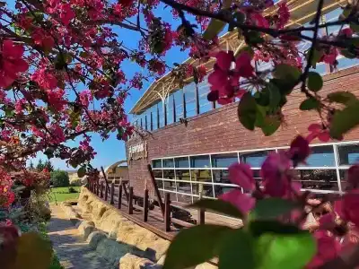 Апарт-Сити Ирида - 11