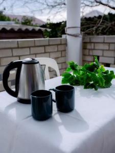 Guest House Green Oasis + - 5