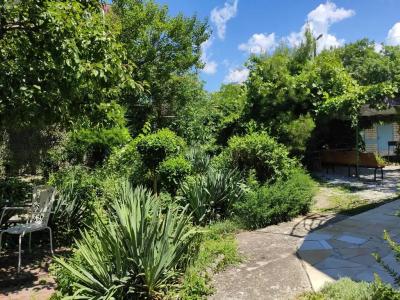 Guest House Green Oasis + - 6
