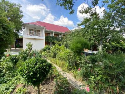 Guest House Green Oasis + - 7