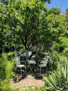 Guest House Green Oasis + - 10