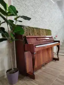 Eco House - 6