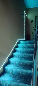 Eco House - 14