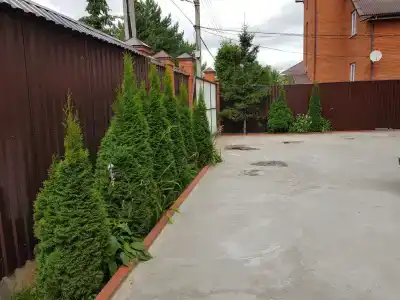 Дар - 5