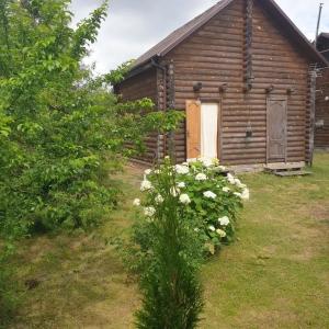 Усадьба Кроличья Нора  - 28